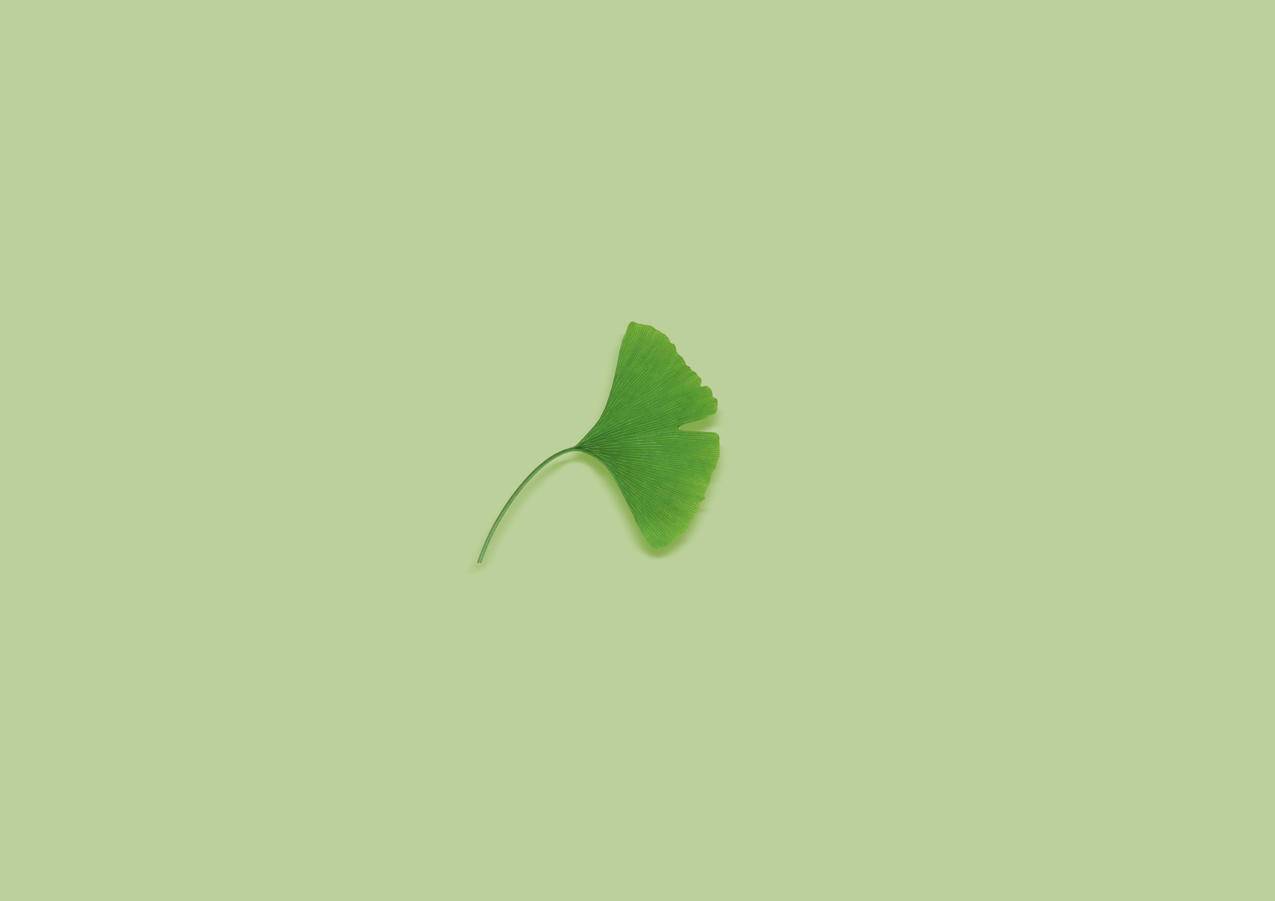 hero-image